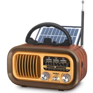 PRUNUS J-150BTS Portable FM Radio with Bluetooth Speaker, USB, Micro SD Card Slot, MP3 Player 3 Bands with a Solar Panel(Gold)